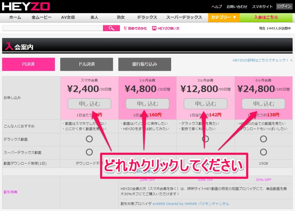 HEYZO公式サイト入口02